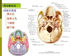 爱游戏体育-rao抡