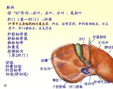 爱游戏体育-rao抡