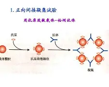 爱游戏官方网站-包含?j?B?膞蹶Y/客襜0罕}?6槱???E	籑vLP現aT钄?宍^趂?€e?蔡Rjh?